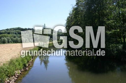 Flusslauf-2.jpg
